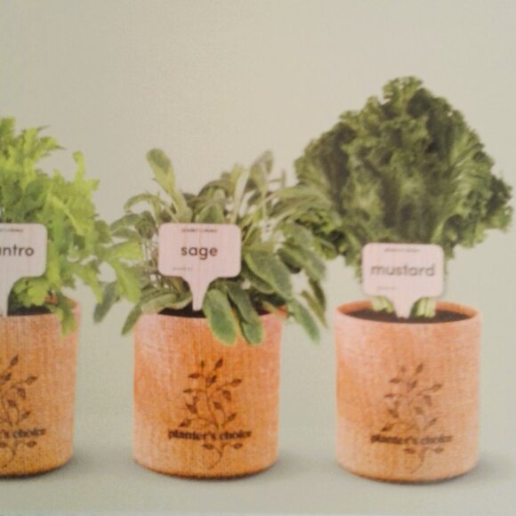 9- herb window garden - Picture 5 of 8